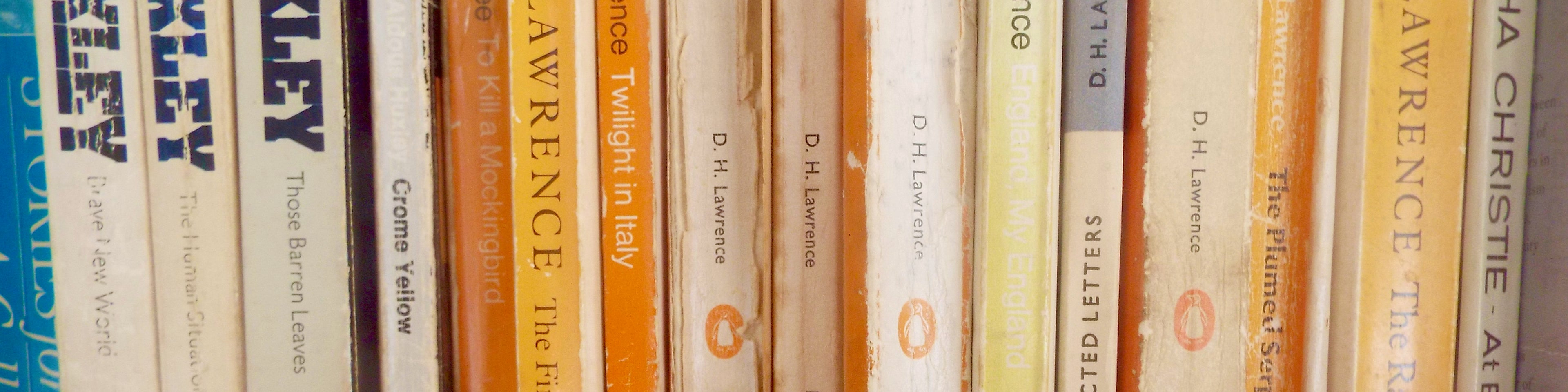 Banner image of a shelf of vintage books with blue or yellow spines, some Penguin Classics. Sold by Nanna Bangles, New Zealand.