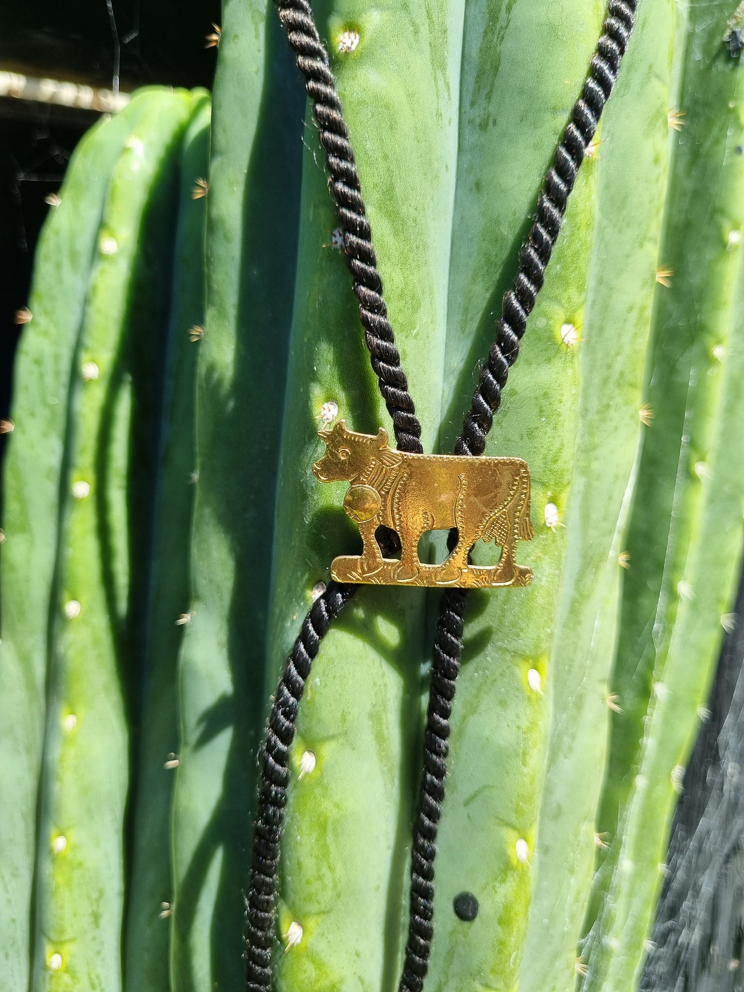 Bolo Tie - Brass Cow