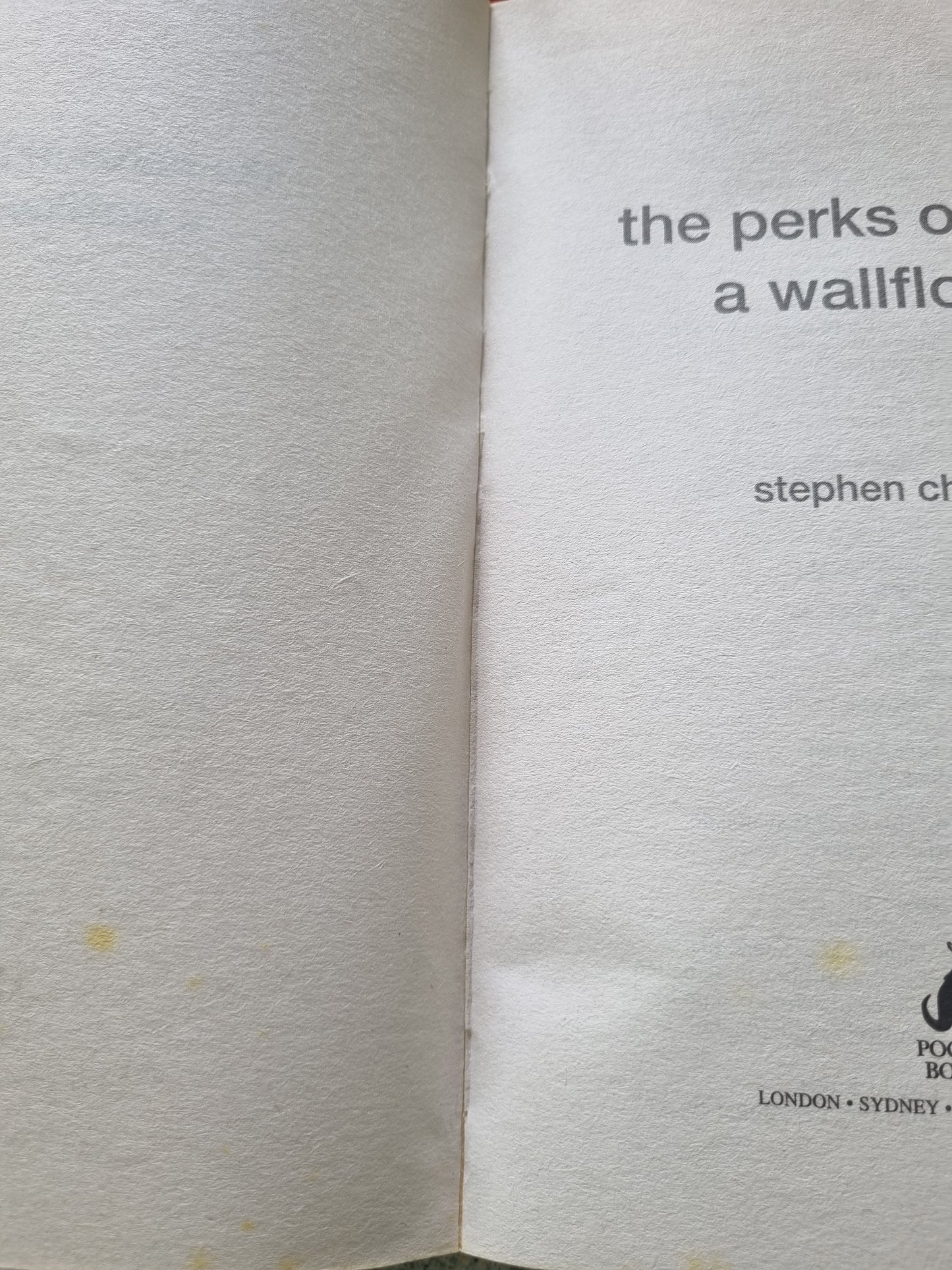 The Perks of Being A Wallflower by Stephen Chbosky
