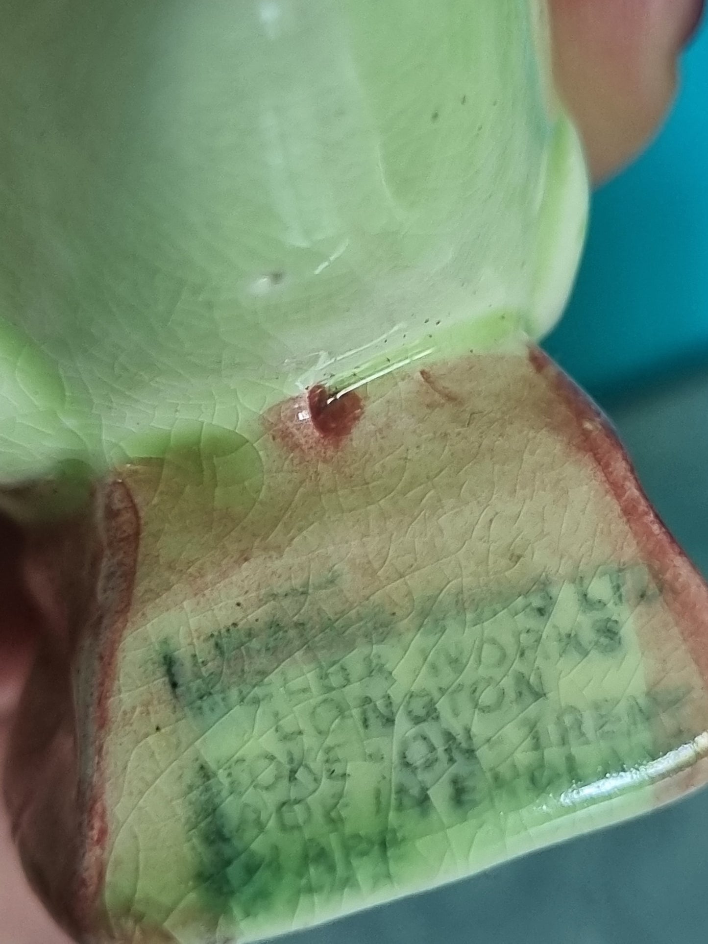 Salt And Pepper Shakers - Melba Ware Fish