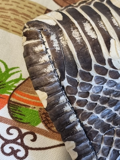 True Vintage 1940s Snakeskin Clutch