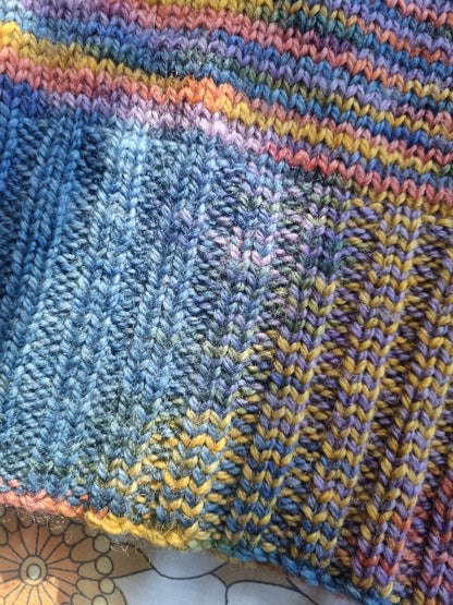 Rainbow Jersey Re-imagined Wool (M-L)