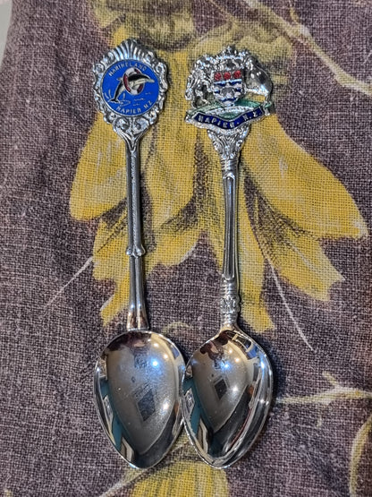 Souvenir Teaspoons - Napier x 2