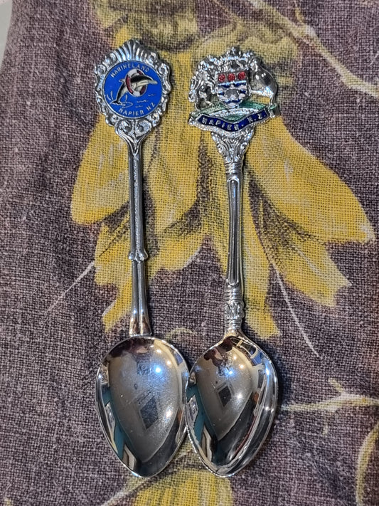 Souvenir Teaspoons - Napier x 2
