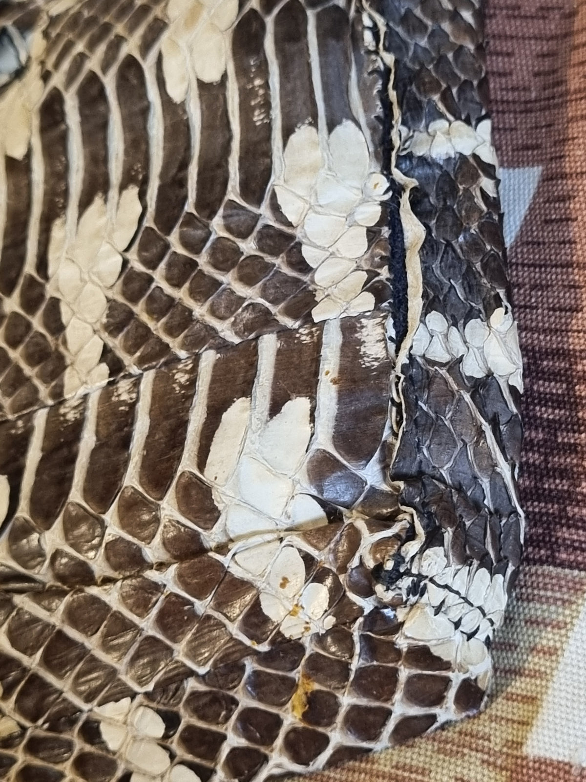 True Vintage 1940s Snakeskin Clutch