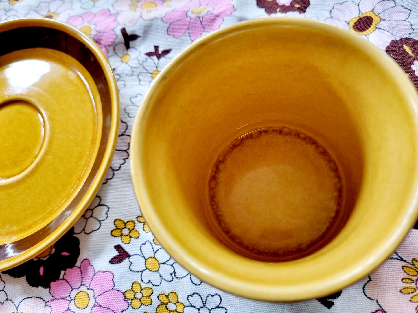 Crown Lynn Forma Cup and Saucer Duo