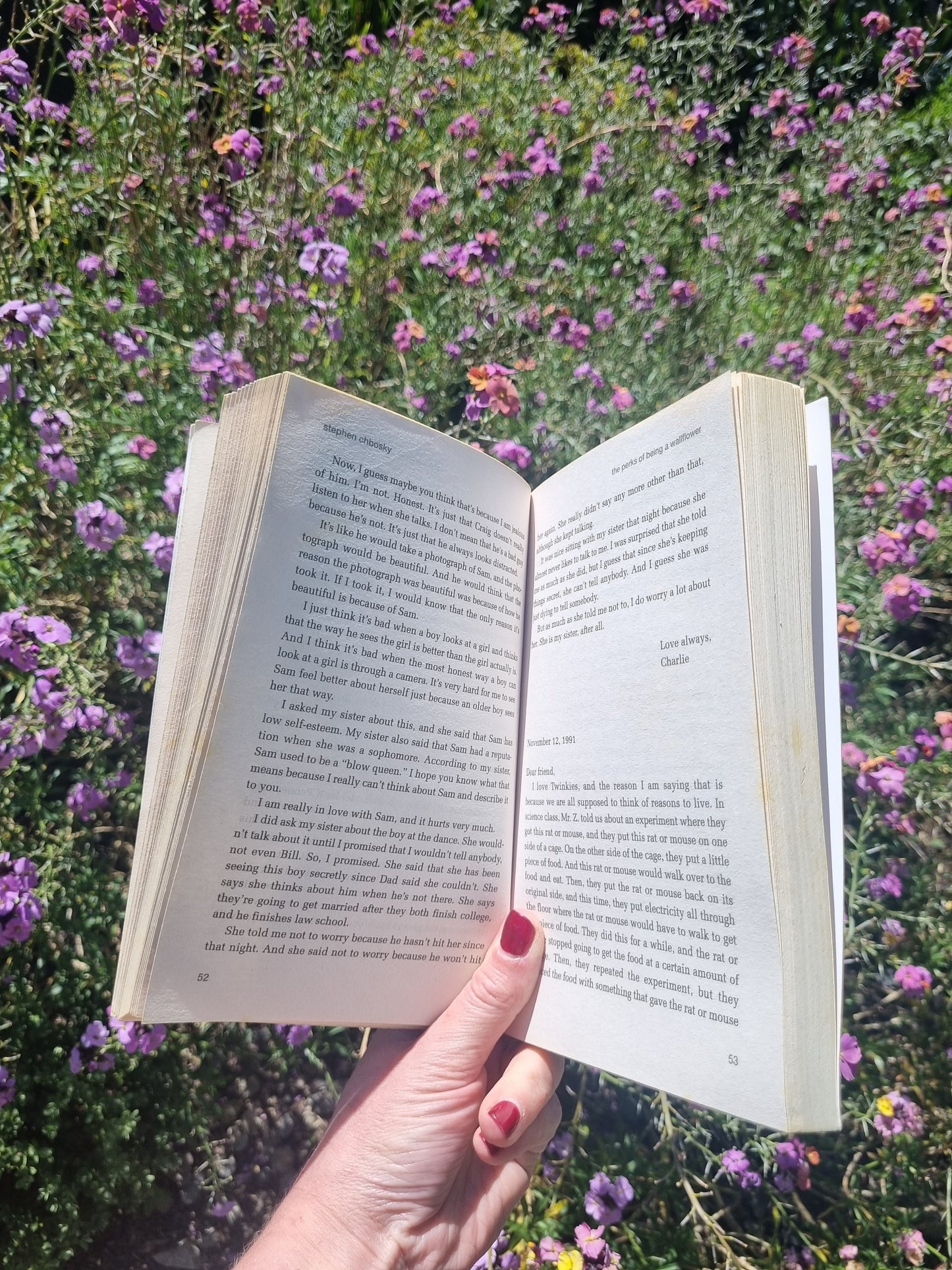 The Perks of Being A Wallflower by Stephen Chbosky