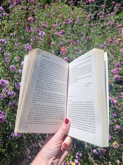 The Perks of Being A Wallflower by Stephen Chbosky