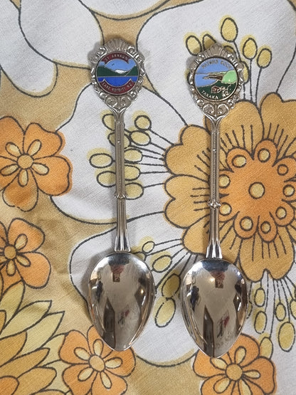 Souvenir Teaspoons x 2 - Nelson/Tasman