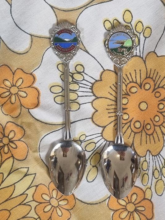 Souvenir Teaspoons x 2 - Nelson/Tasman