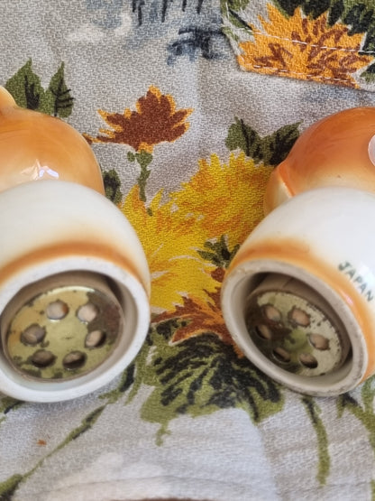 Vintage Salt and Pepper Shakers - Cat and Dog - Made in Japan