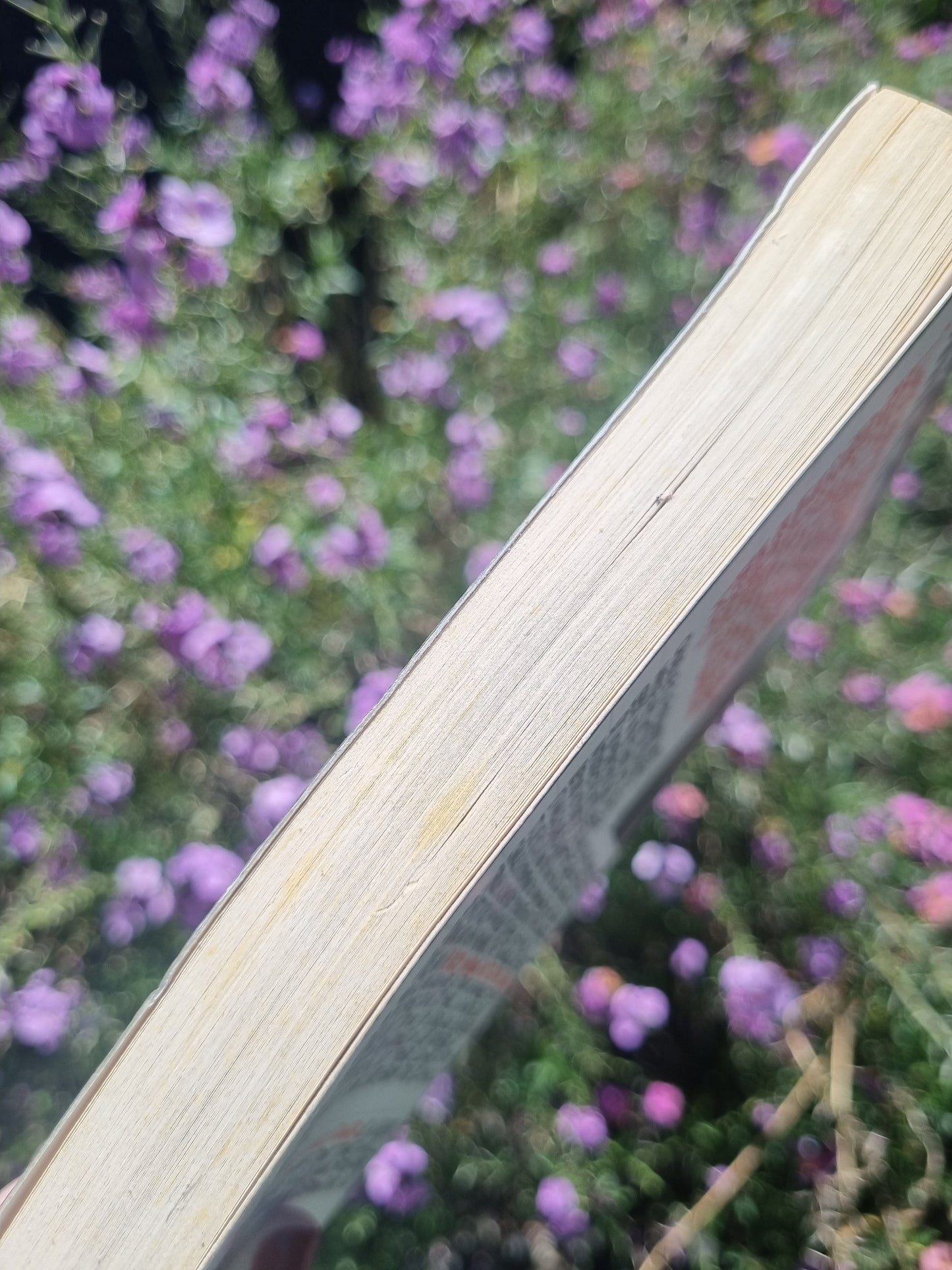 The Perks of Being A Wallflower by Stephen Chbosky