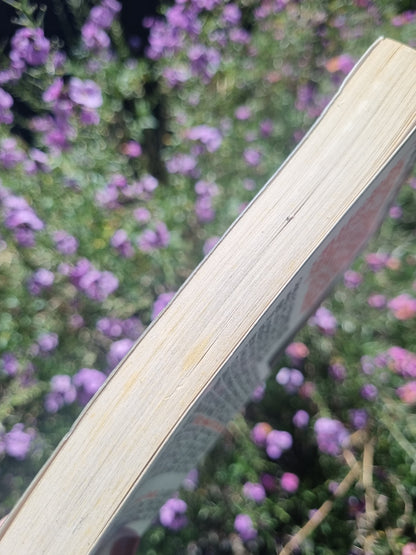 The Perks of Being A Wallflower by Stephen Chbosky